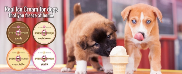 Puppy Scoops - Ice Cream Mix - Image 7