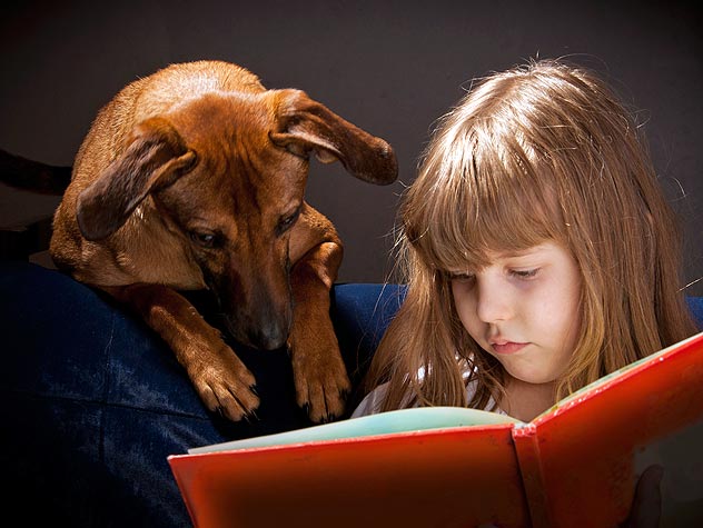 154237994-therapy-dogs-and-kids-632x475