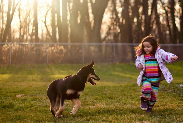 dogkid1