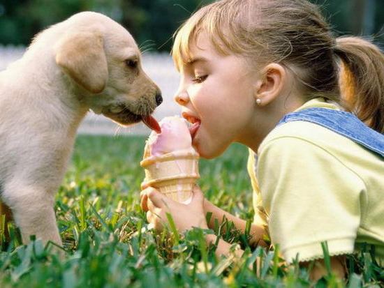 dogs-pictures-for-kids-5