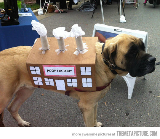 funny-poop-factory-costume-for-dogs