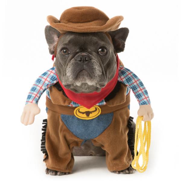 dog-halloween-costume-cowboy-today-16-09-13_cde8bd1f803159963bd3365e13598eaf-today-inline-large