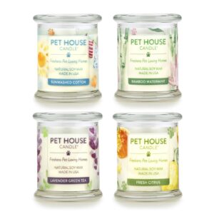 Pet House Candles