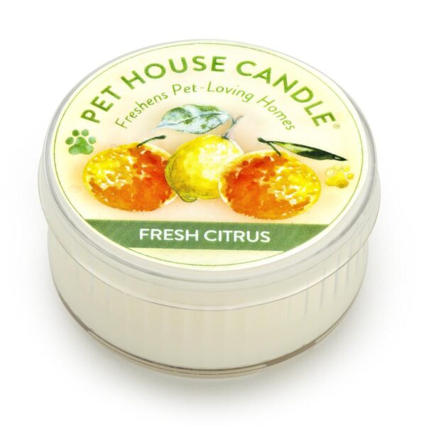Pet House Mini Candle - Image 3