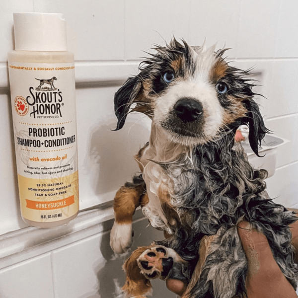 Skout's Honor - Probiotic Shampoo + Conditioner - Image 6
