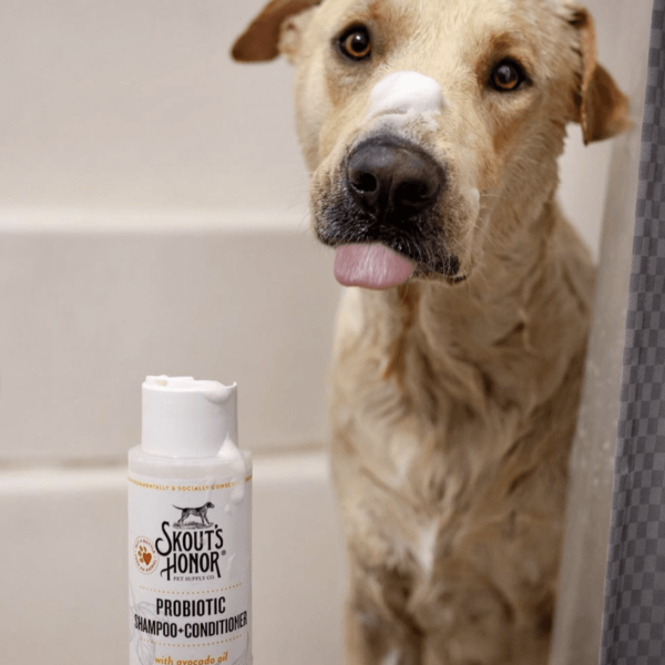 Skout's Honor - Probiotic Shampoo + Conditioner - Image 7