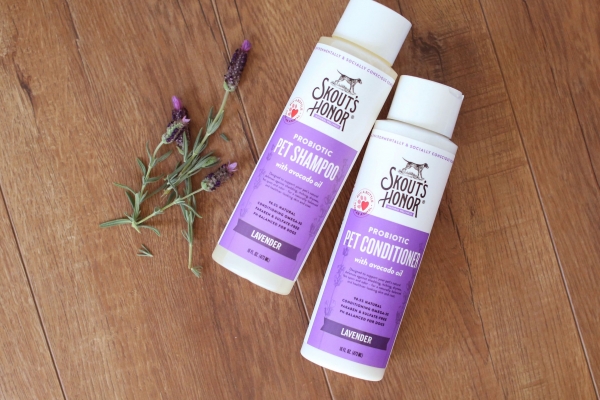Skout's Honor - Probiotic Shampoo + Conditioner - Image 5
