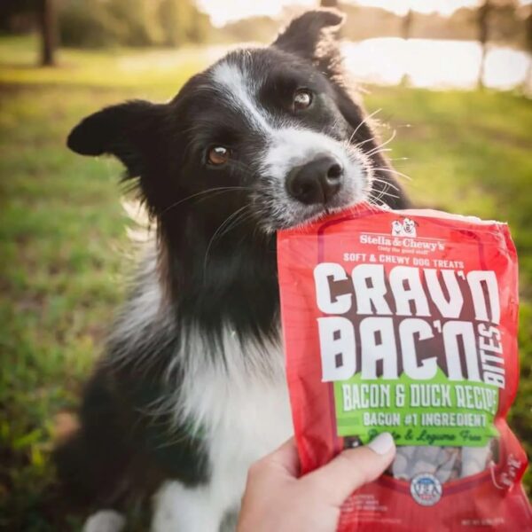 Stella & Chewy's - Crav'n Bac'n Bites - Image 7