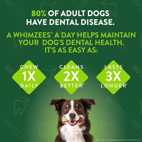 Whimzees - Alligator Natural Dental Chews - Image 7