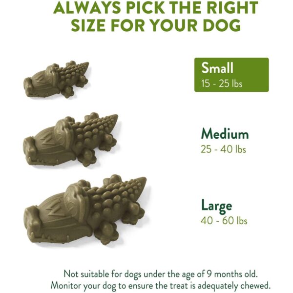 Whimzees - Alligator Natural Dental Chews - Image 6