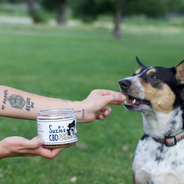 Suzie's CBD - Soft Chews - Image 6