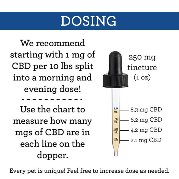 Suzie's CBD Drops - 250mg CBD Oil - Image 3