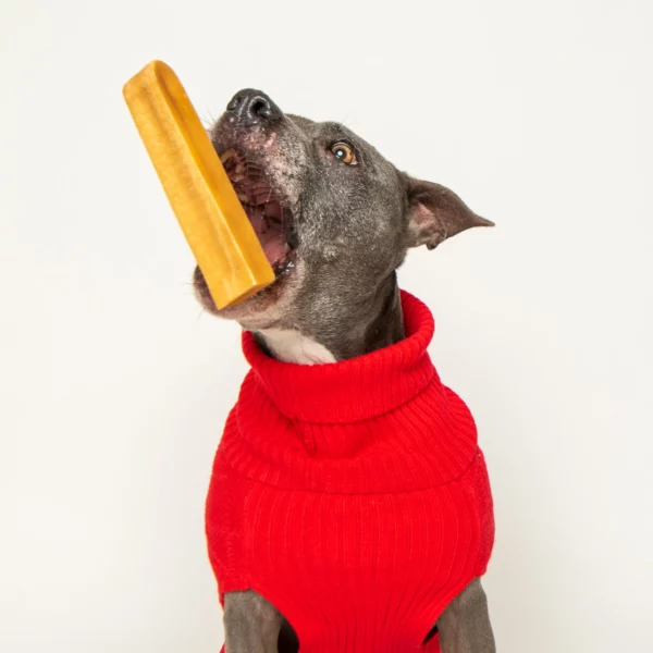 Best Bully Sticks - Himalayan Yak cheese - Image 4