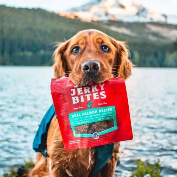 Stella & Chewy's - Salmon Just Jerky bites - Image 3