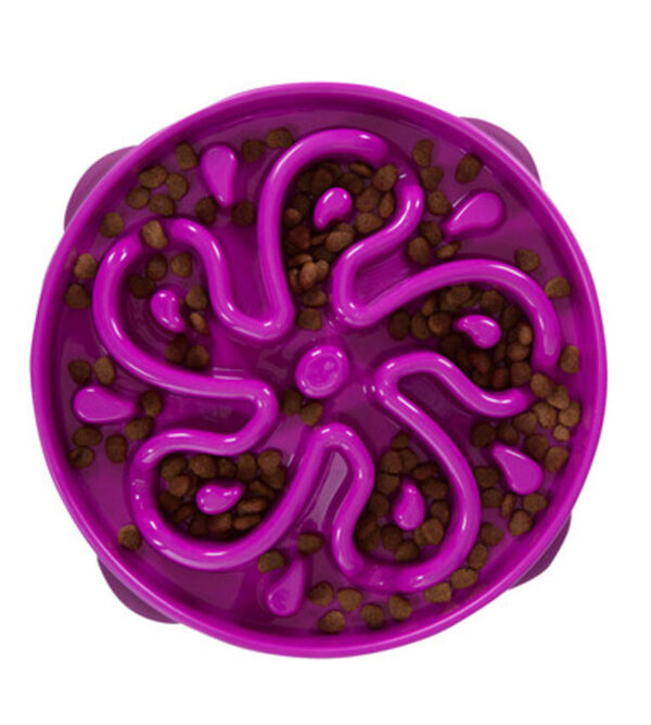 Outward Hound - Fun Feeder - Medium and Large - Image 4