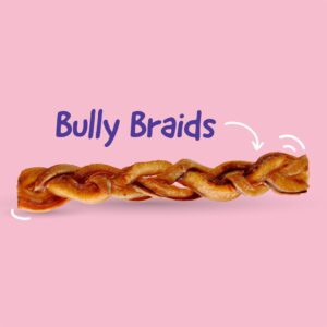 WAWIS - Bully Braids 9" Inch
