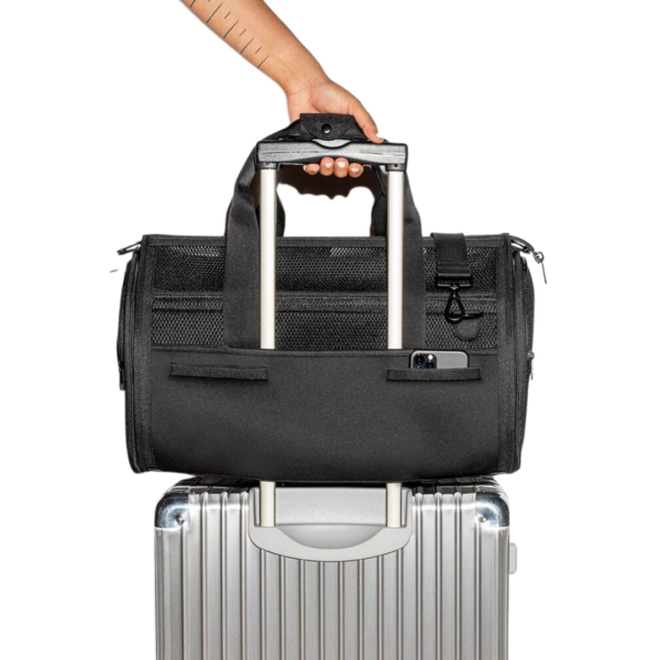 Wild One - Travel Carrier - Image 3