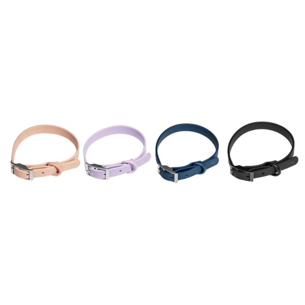 Wild One - Collar